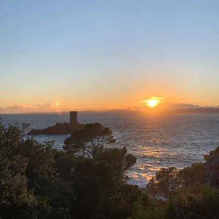 Charme Pinede Sud * Fréjus